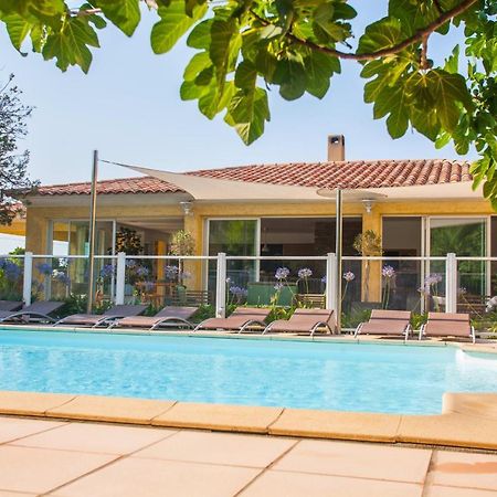 maison kiwi avec piscine chauffée terrasse jardin et bbq à Calvi Calvi  Extérieur photo