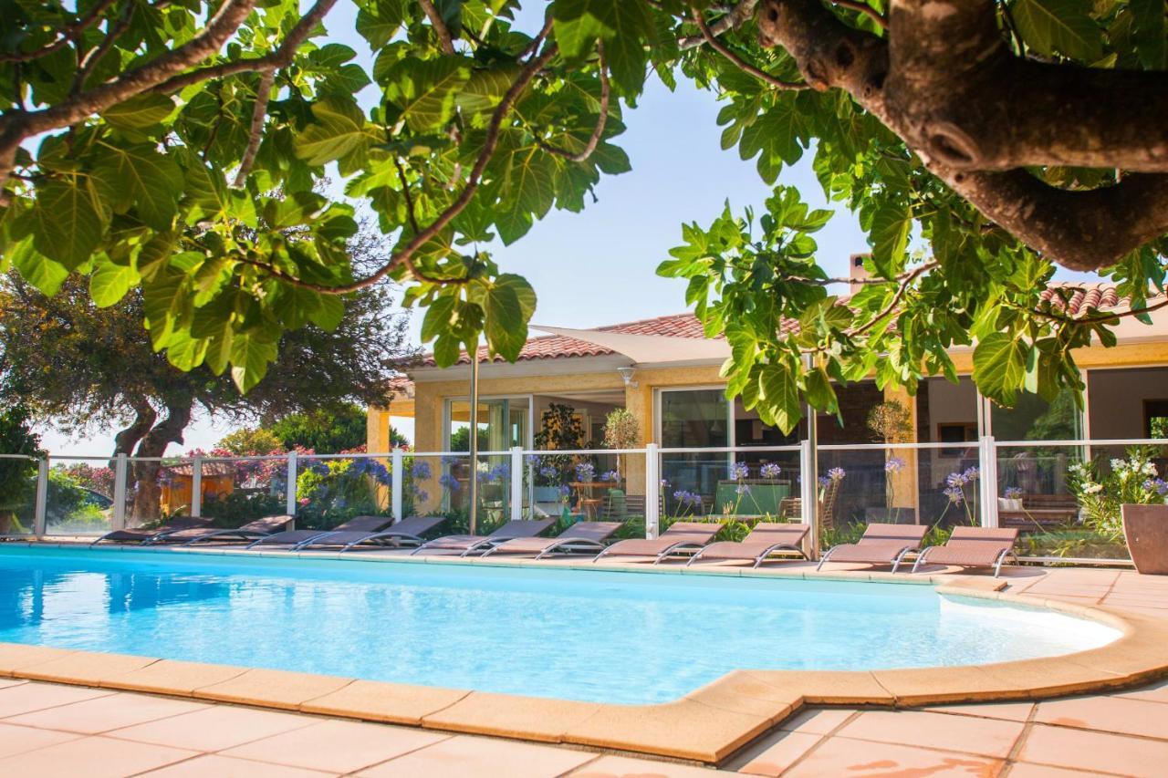 maison kiwi avec piscine chauffée terrasse jardin et bbq à Calvi Calvi  Extérieur photo