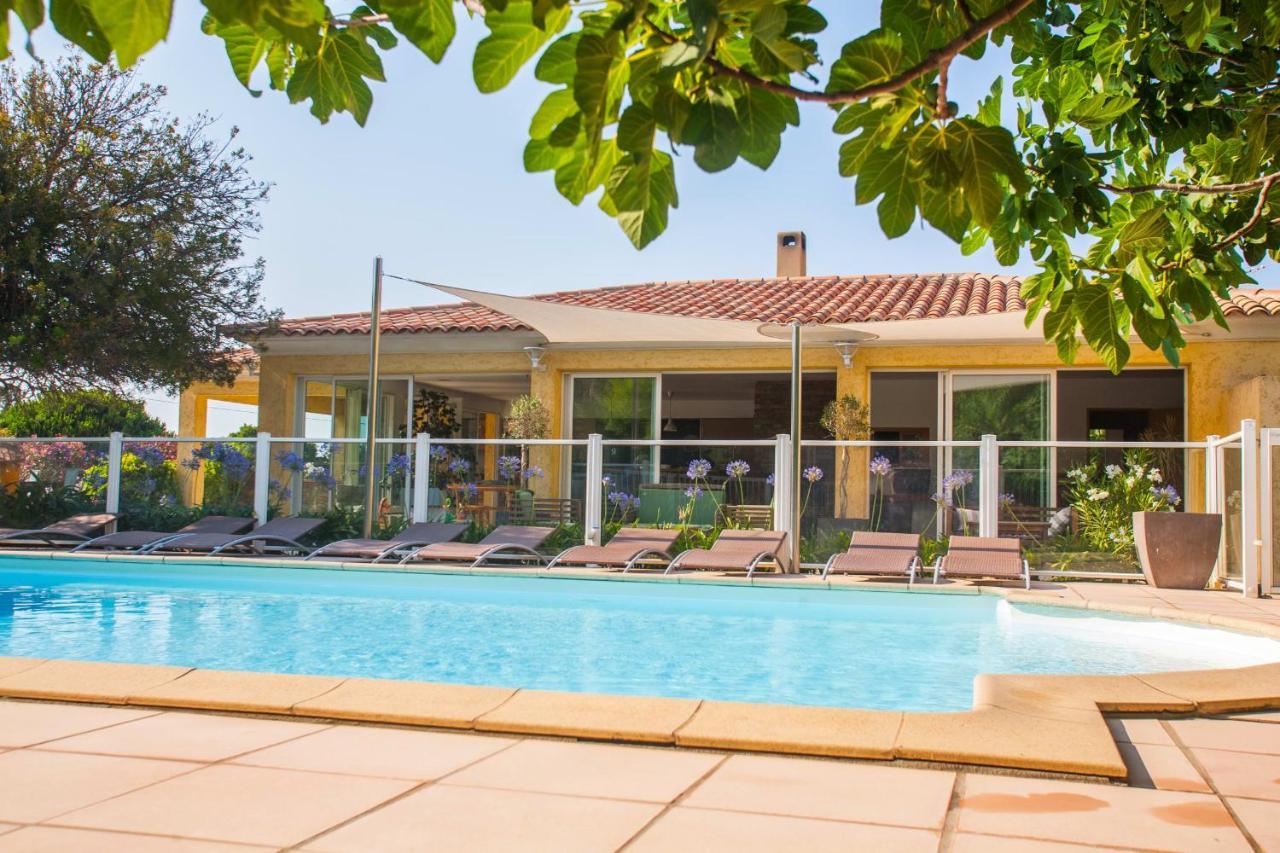 maison kiwi avec piscine chauffée terrasse jardin et bbq à Calvi Calvi  Extérieur photo